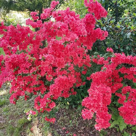 Bed & Breakfast Marysin