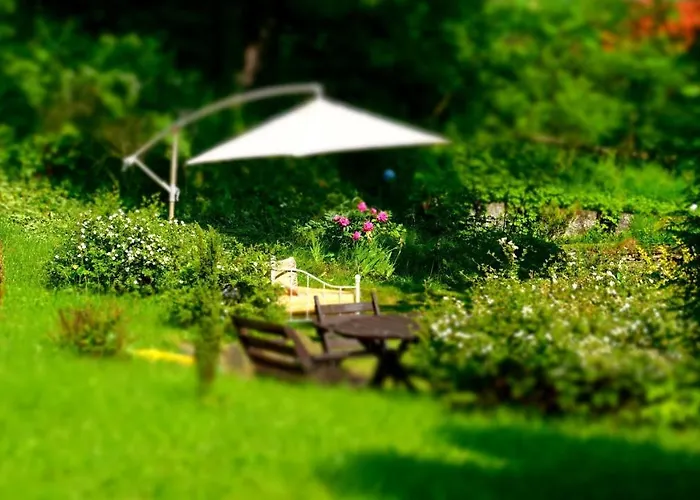 Marysin Bed & Breakfast