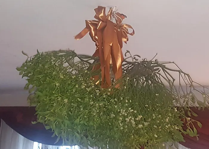 Bed & Breakfast Marysin