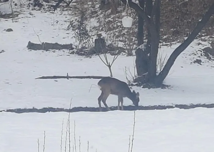 Marysin Bed & Breakfast 3*