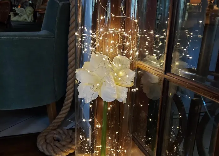 Marysin Bed & Breakfast Makow Podhalanski