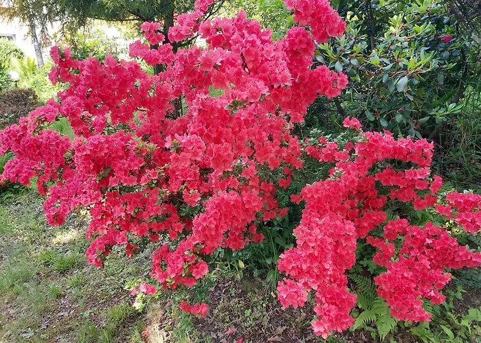 Bed & Breakfast Marysin